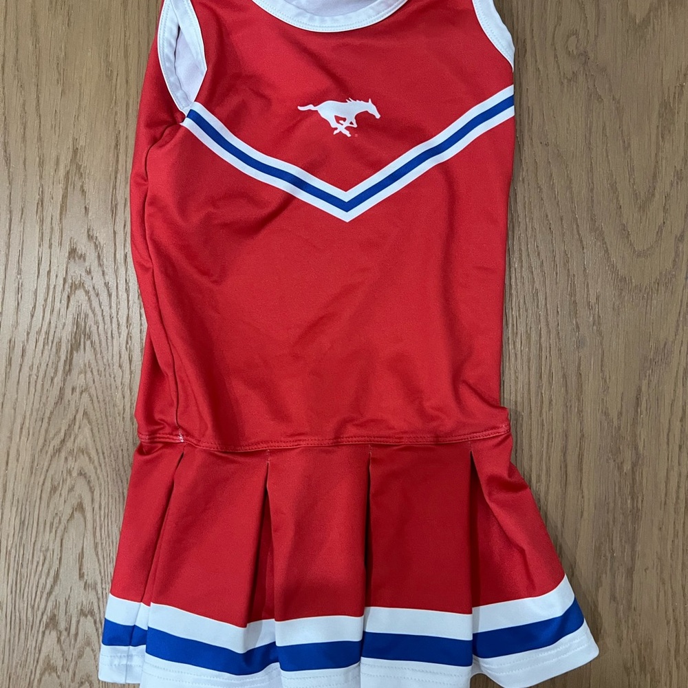 SMU mustang little girl cheer uniform